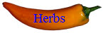 Large Selection of Culinary and Medicinal Herbs